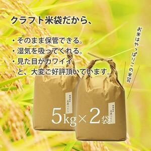 福岡県産評価のお米「元気つくし」5kg×2袋 10kg [玄米]