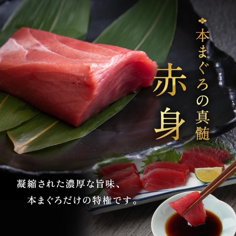 マグロ 本まぐろ 生まぐろ 国産生本マグロ 刺し身 冷蔵でお届け！大トロ 中トロ 赤身の食べ比べセット合計900グラム（各300g）お取り寄せ お歳暮 プレゼント