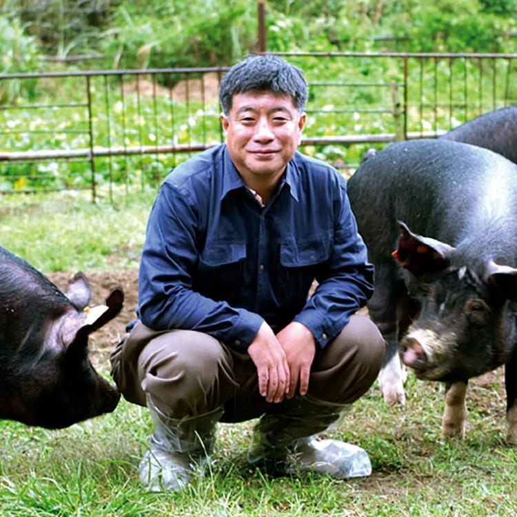 鶏肉ハム・ソーセージ詰合せ 鹿児島県産　無添加   北海道・沖縄不可