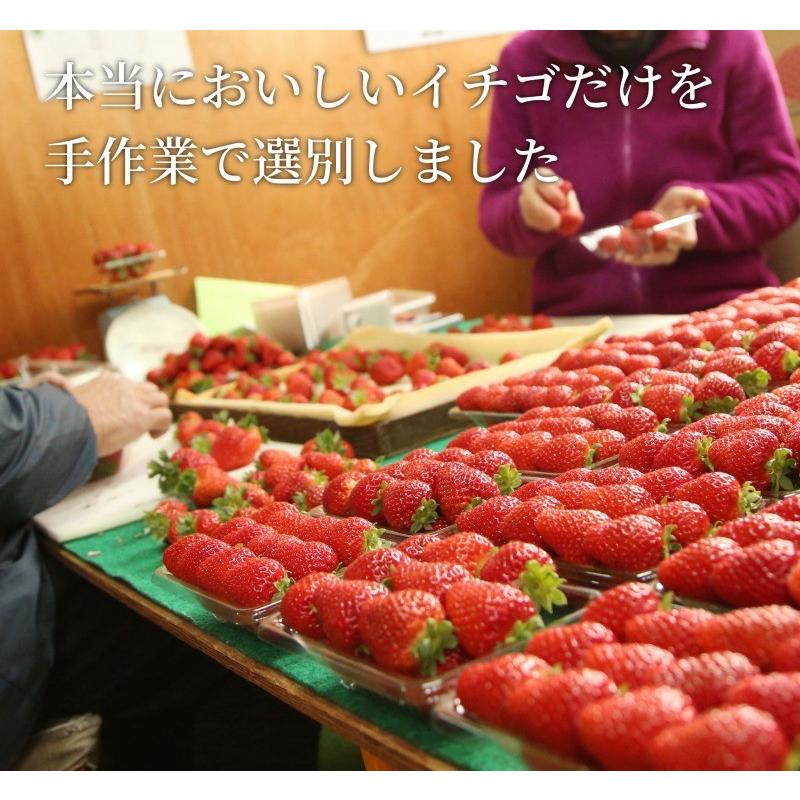 まりひめ ギフト用 400g×1箱 和歌山県産 いちご 紀のベリー