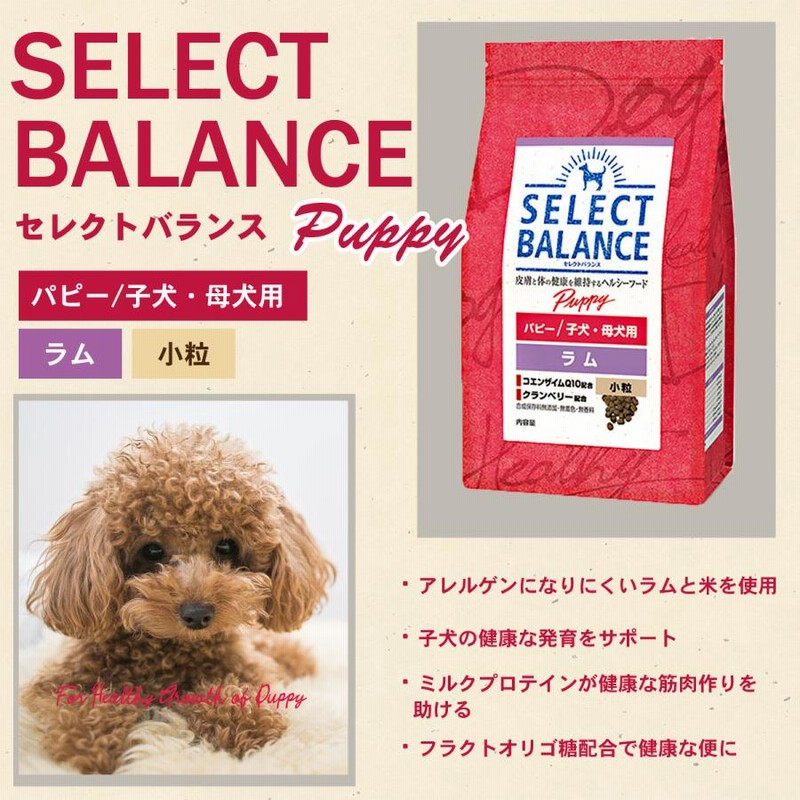 セレクトバランス ラム パピー用 4袋 子犬 母犬 チワワ ポメラニアン