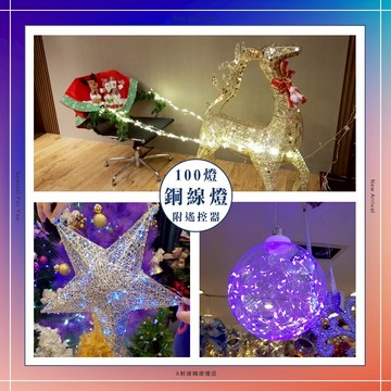 100燈USB銅線燈，LED燈/遙控器/燈串/串燈/裝飾燈/螢火蟲燈/背景燈/佈置燈/1米，X射線【X371312】