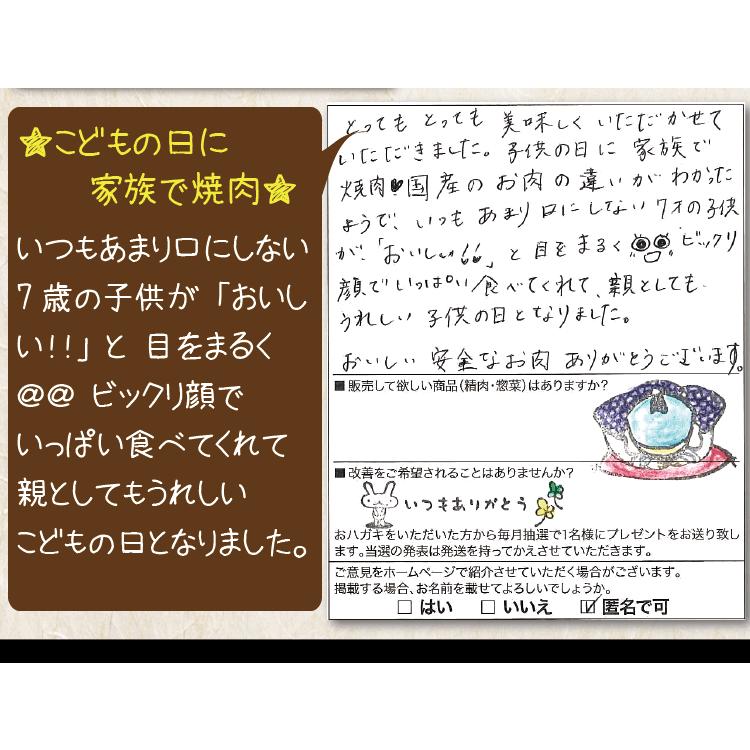 ギフト 肉 焼肉 福袋 1kg 肉 3種盛 焼肉セット 国産牛 訳あり ハラミ 豚 カルビ バーべキュー