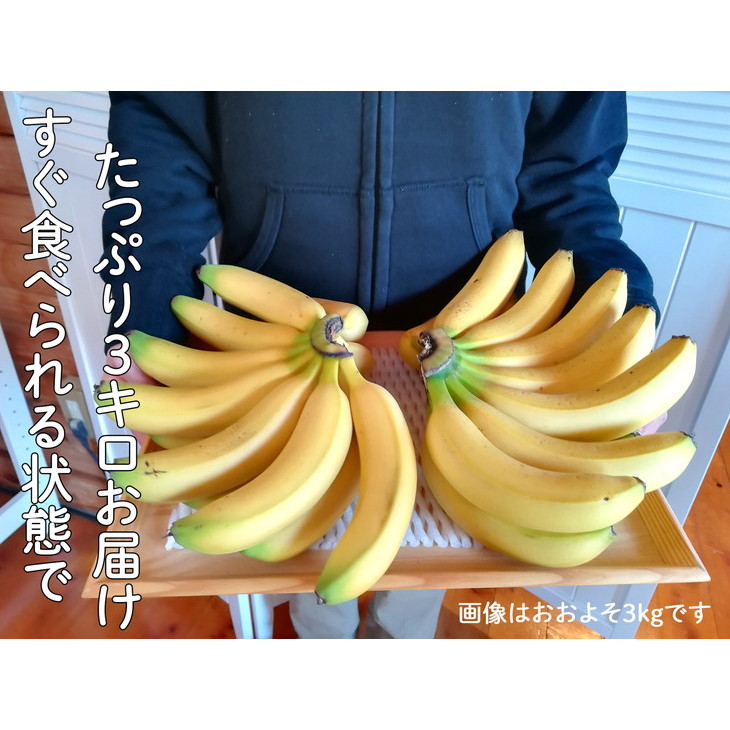 超希少!国産完熟バナナ(モッチリ系の品種)たっぷり3kg すぐ食べられる状態でお届け! ｜ 美浜町産 産地直送◇