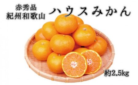 赤秀品　紀州和歌山ハウスみかん2.5kg サイズお任せ ※2024年6月下旬頃～2024年7月中旬頃に順次発送予定(お届け日指定不可)