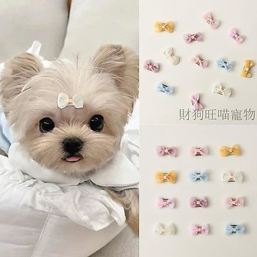 💕在臺出貨🔥蝴蝶結髮夾約克夏小發卡頭飾馬爾濟斯鼻樑夾卡子 小狗夾子 狗狗髮夾 寵物髮夾 寵物飾品 狗狗髮飾 小狗髮夾