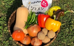 道の駅あかいがわ直売所野菜詰合せ