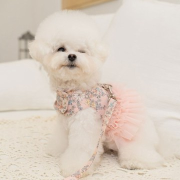 韓國品牌 【梨花娘總代理】🐾BAILEY 🐶秋冬新品 溫柔蕾絲荷葉邊花朵復古可愛寵物胸背帶+牽引繩(2色)
