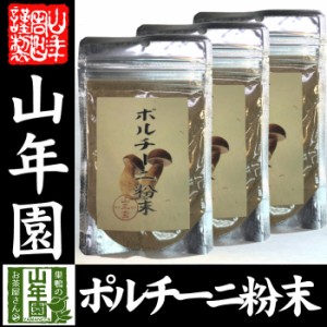  ポルチーニ茸の粉末 40g×3袋セット 無農薬で栽培されたポルチーニ茸を温風乾燥させて粉末に 健康 送料無