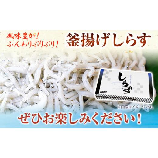 ふるさと納税 和歌山県 日高町 釜あげしらす 化粧箱 900g 大五海産《60