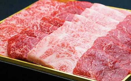 宮崎牛 霜降り赤身 焼肉セット 700g 牛肉 モモ ウデ カルビ