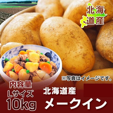 送料無料 じゃがいも 北海道 メークイン 北海道産 じゃがいも 10kg メークイン Lサイズ 北海道 ジャガイモ 野菜 じゃがいも