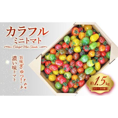 ふるさと納税 15〜20種 の カラフル ミニトマト 合計約1.5kg トマト 完熟 熊本県熊本市