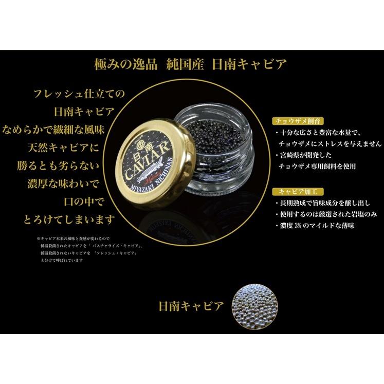 大切な方への贈り物に・・・宮崎県 日南産 無添加 濃厚 国産 キャビア 5g入り4個セット／1箱  日南キャビア