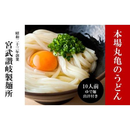 ふるさと納税 丸亀からお届け！元祖さぬきゆでうどん　10人前 香川県丸亀市