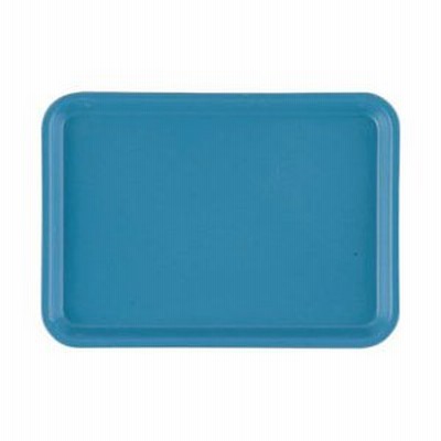 キャンブロ社 キャンブロ カムトレー（FRP） ロビンエッグブルー 125×180mm ＜EKM0142＞