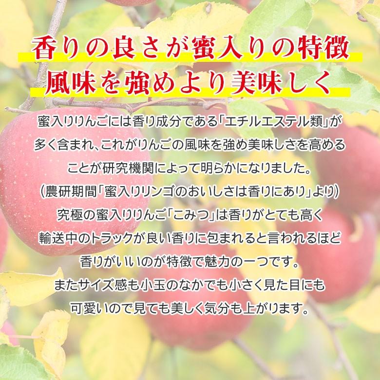 送料無料 青森県 青森 こみつ 秀品 こうとく 小玉 りんご 蜜いり りんご 蜜入りりんご 国産 国産りんご