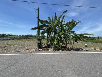 屏東竹田88交流道約8米路大面寬農地｜屏東縣竹田鄉鳳新段