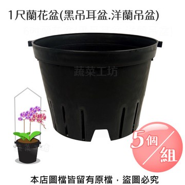 1尺蘭花盆(黑吊耳盆.洋蘭吊盆) 5個/組