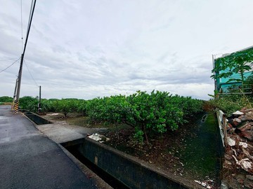 萬丹社皮｜檸檬園方正農地｜屏東縣萬丹鄉和平西路