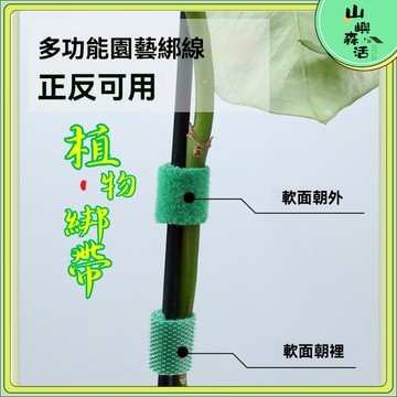 【台灣出貨🌳】植物魔術綁帶 植物束帶 可重複使用 無膠 植物固定綁帶 植物捆綁帶 束線帶 綁線 園藝綁帶