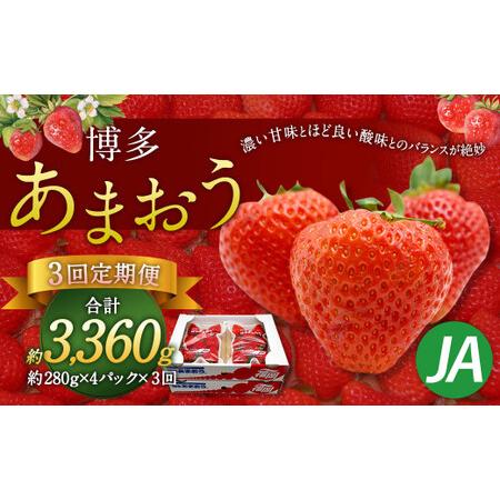 ふるさと納税 博多あまおう 4パック 福岡県太宰府市