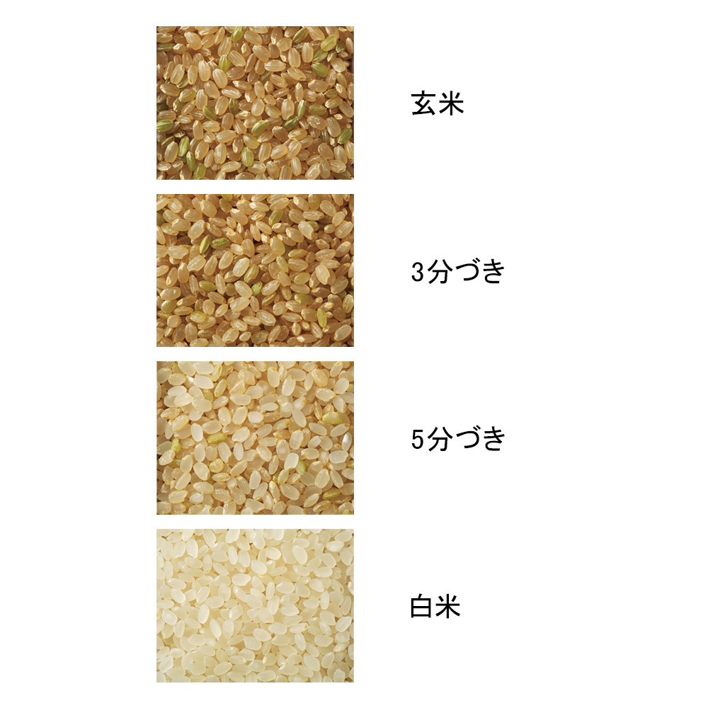 岐阜県産＜トキ・龍の瞳生産組合＞特別栽培龍の瞳 5分づき