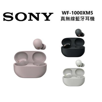 【原廠活動贈禮券】SONY 索尼 WF-1000XM5 真無線降噪耳機 台灣公司貨  保固12+6月