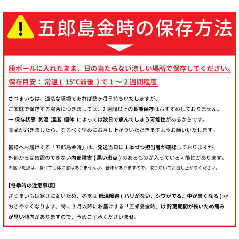 さつまいも 五郎島金時 5kg 等級：優品 Mサイズ 加賀野菜 サツマイモ 自宅用 ブランド芋 石川県産 家庭用 小傷あり 生芋 産地直送 野菜 ギフト ギフト広場