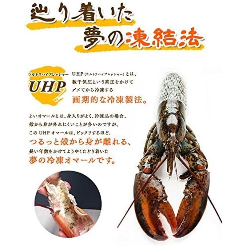 天然オマール海老400 450g 1尾 UHP冷凍