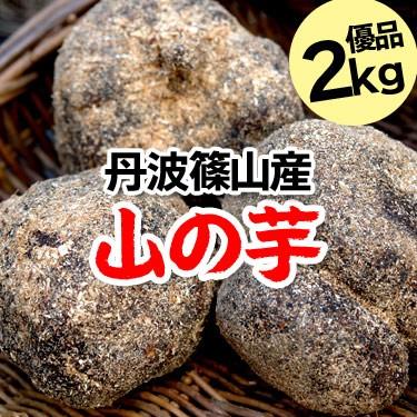 山の芋 期間限定 丹波 丹波篠山 令和5年産 新物 優品 2kg 箱入り