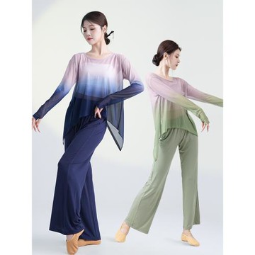 舞主角古典漸變網紗上衣舞蹈服身韻紗衣現代舞飄逸舞蹈練功服裝女