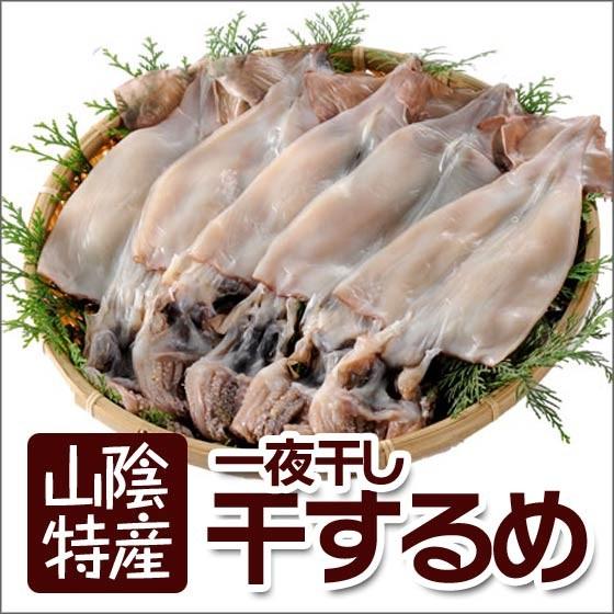 いか イカ スルメイカ 一夜干し 干物 山陰 日本海 兵庫県 国産 5枚入り