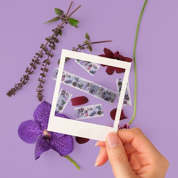 mt ex 和紙膠帶 2024SS / 彩色系列 - 紫 (MTEX1P244)