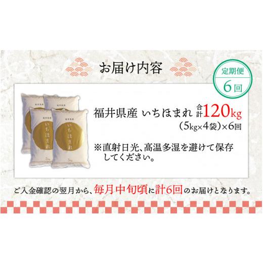 ふるさと納税 福井県 永平寺町 令和5年度産 福井県産新ブランド米 いちほまれ 20kg（5kg×4袋）×6ヶ月（計120kg） [L-002039]