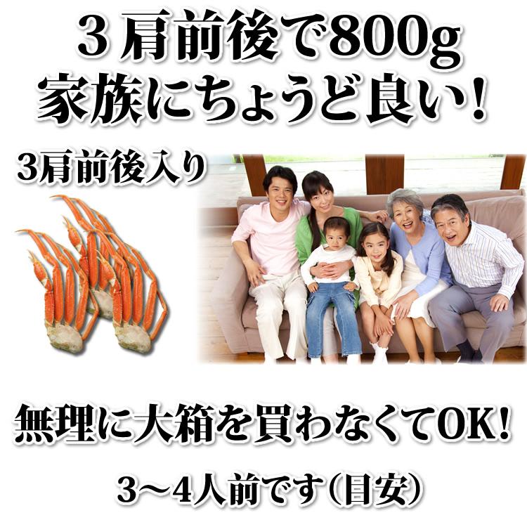 お歳暮 御歳暮 ギフト 2023 カニ かに 蟹 ズワイガニ 脚 800g  (3肩前後入) 海鮮 ボイル 蟹 足 脚 グルメ ギフト 送料無料