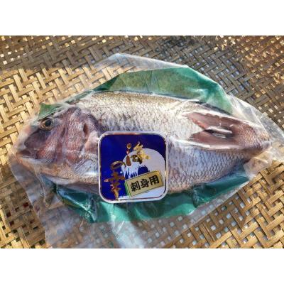 ふるさと納税 （冷蔵）鯛1匹（700ｇ以上）鯛めし1個 鯛みりん干し1個／城水産　お取り寄せ　釜めし　三重県　南伊勢町 三重県南伊勢町