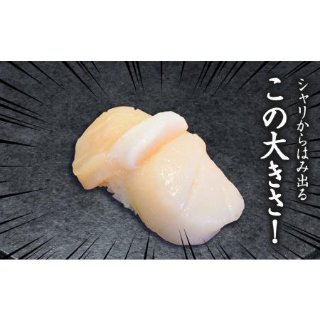 ふるさと納税 ほたて 貝柱 冷凍 大粒 冷凍 500ｇ(20〜25粒前後)×2パック お取り寄せ 刺身 《横田水産》 北海道浜頓別町