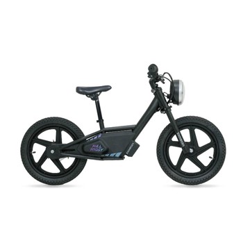 DOSUN電動車 【DOSUN】兒童電動平衡車 BULLDOGGY 科技黑_送安裝(車麗屋)