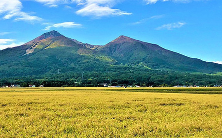 令和5年産 福島県産 あさか舞コシヒカリ 無洗米10kg（5kg×2袋）