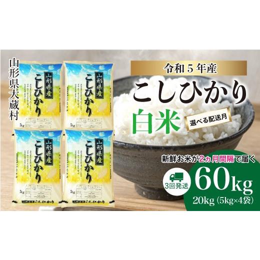 ふるさと納税 山形県 大蔵村 令和5年産 大蔵村 コシヒカリ  定期便 60kg （20kg×2か月間隔で3回お届け）