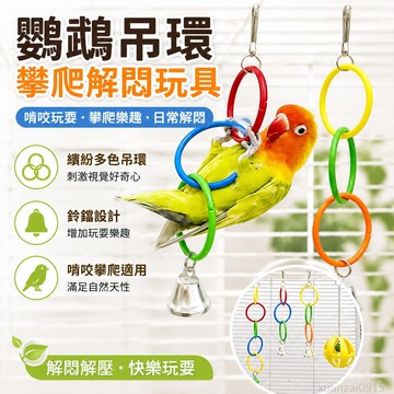 鸚鵡吊環攀爬解悶玩具啃咬玩耍攀爬牡丹玄鳳鸚鵡用玩具用品大全 解悶解壓 小太陽鸚鵡 和尚鸚鵡 凱克鸚鵡玩具 鳥玩具 toy