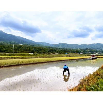 ふるさと納税 茨城県 百笑米の「天の恵」有機栽培ミルキークイーン10kg　〜精米〜