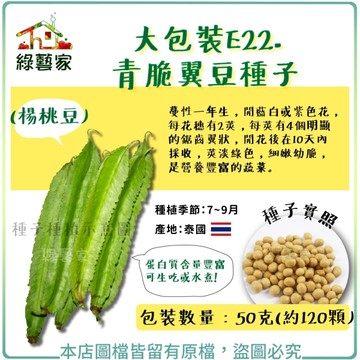 【綠藝家】大包裝E22.青脆翼豆種子50克(約120顆)(楊桃豆)