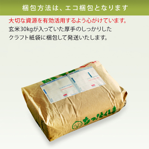 きぬひかり 白米 5kg×2袋×3回 3ヶ月連続 定期便 30kg 真空パック キヌヒカリ 米 簡易梱包 エコ梱包