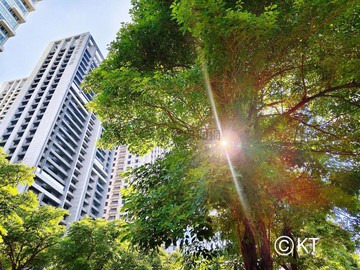 專任獨家市政1號院視野朝南戶型｜台中市西屯區市政路