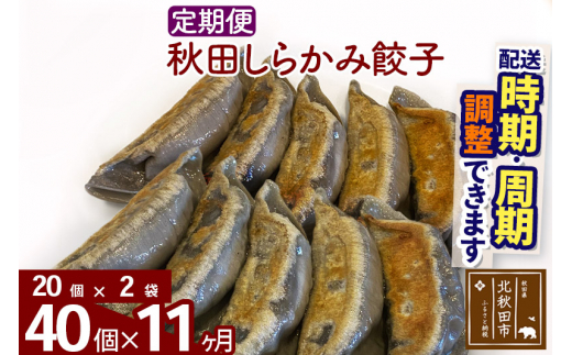 《定期便11ヶ月》秋田しらかみ餃子 40個（20個×2袋）×11回 |genk-020211