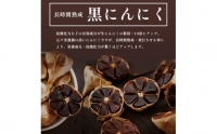 コラーゲン 黒にんにく 24包×12回 12ヶ月 ペースト 大蒜 舞鶴産黒ニンニク