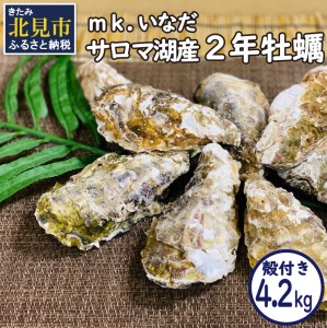 サロマ湖産殻付き2年牡蠣4.2kg※牡蠣ナイフ付 カキ かき 4.2キロ 魚介 海鮮 貝 ふるさと納税 BBQ バーベキュー