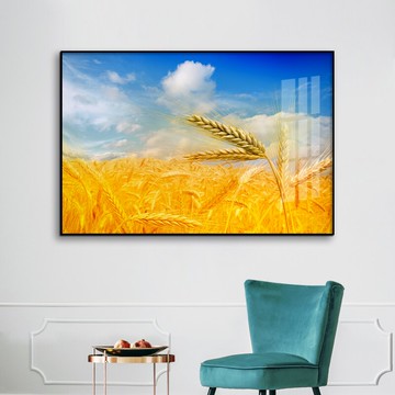 風景掛畫 小麥風景酒店掛畫金黃水稻綠色陽光藍天壁畫玄關走廊臥室床頭牆畫『XY25032』